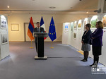 Opening remarks by Ambassador Vahe Gabrielyan, Director of the DS and curator and main author of the exhibition